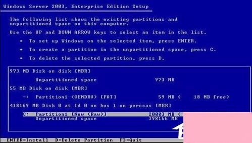戴爾服務器安裝Windows Server 2003系統(tǒng)全攻略 從準備到配置服務詳解
